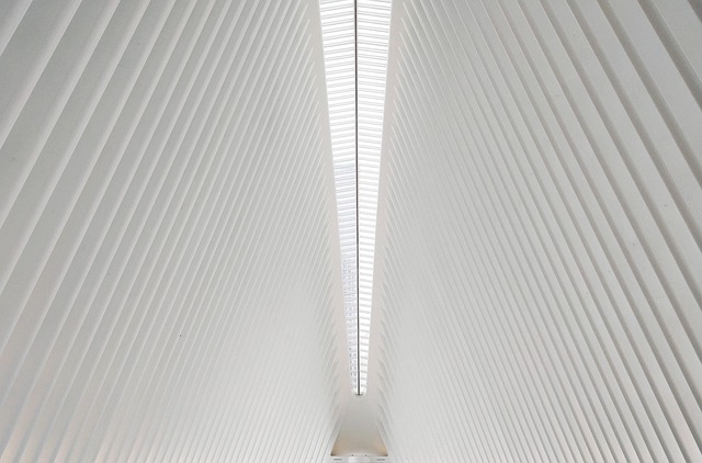 High voltage electrical transformer and power lines connecting biogas facility to national electricity grid